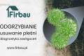 Odgrzybianie Usuwanie Pleni